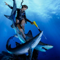 Lara Croft: Quest for Avalon