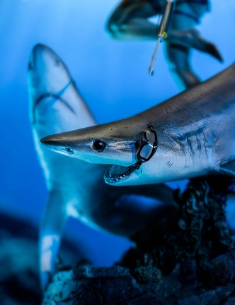 statuette-weta-laracroft-tombraider-questforavalon-17