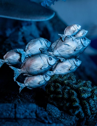 statuette-weta-laracroft-tombraider-questforavalon-18