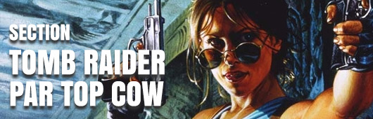 la série de comics Tomb Raider par Top Cow