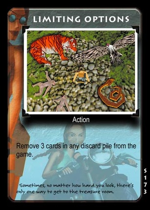 tombraider-collectiblecardgame-ccg-slipperywhenwet (31)